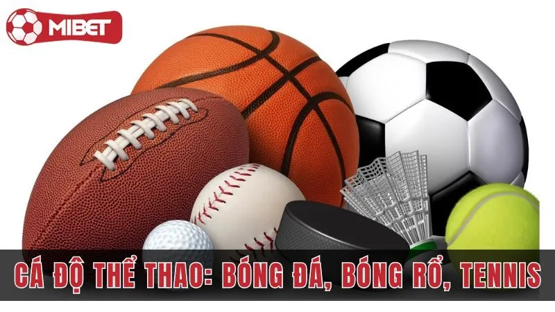 Cá Độ Thể Thao: Bóng Đá, Bóng Rổ, Tennis Và Những Điều Nên Biết