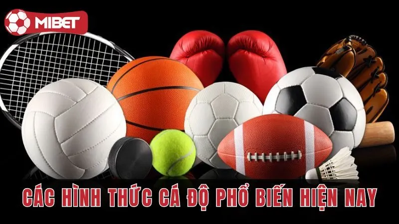 Tổng Hợp Các Hình Thức Cá Độ Phổ Biến Hiện Nay Cho Dân Chơi