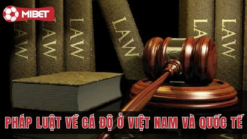 Những Quy Định Pháp Luật Về Cá Độ Ở Việt Nam Và Quốc tế