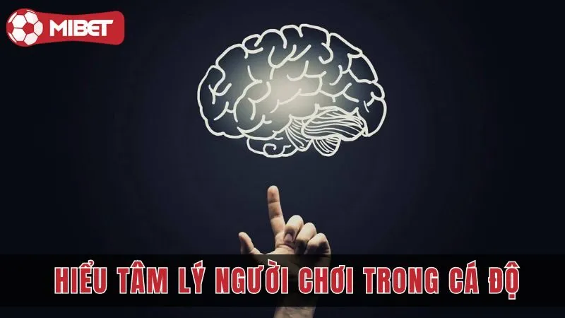 Tâm Lý Học Trong Cá Độ: Hiểu Tâm Lý Người Chơi Để Thắng Lớn