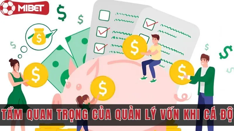 Tầm Quan Trọng Của Quản Lý Tài Chính Trong Cá Độ Trực Tuyến